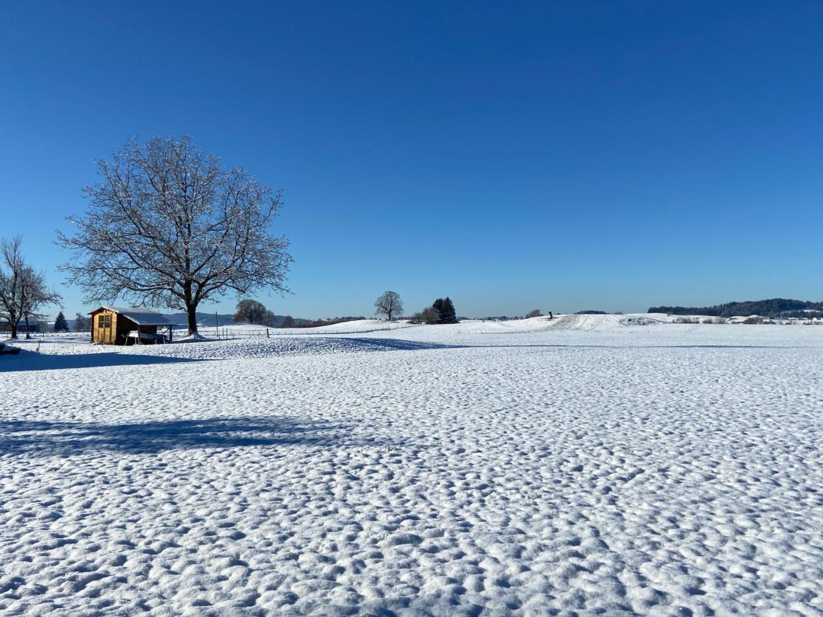 Das Blaue Haus - Ein Sommertraum Und Ein Wintermaerchen Weiler-Simmerberg Exterior foto