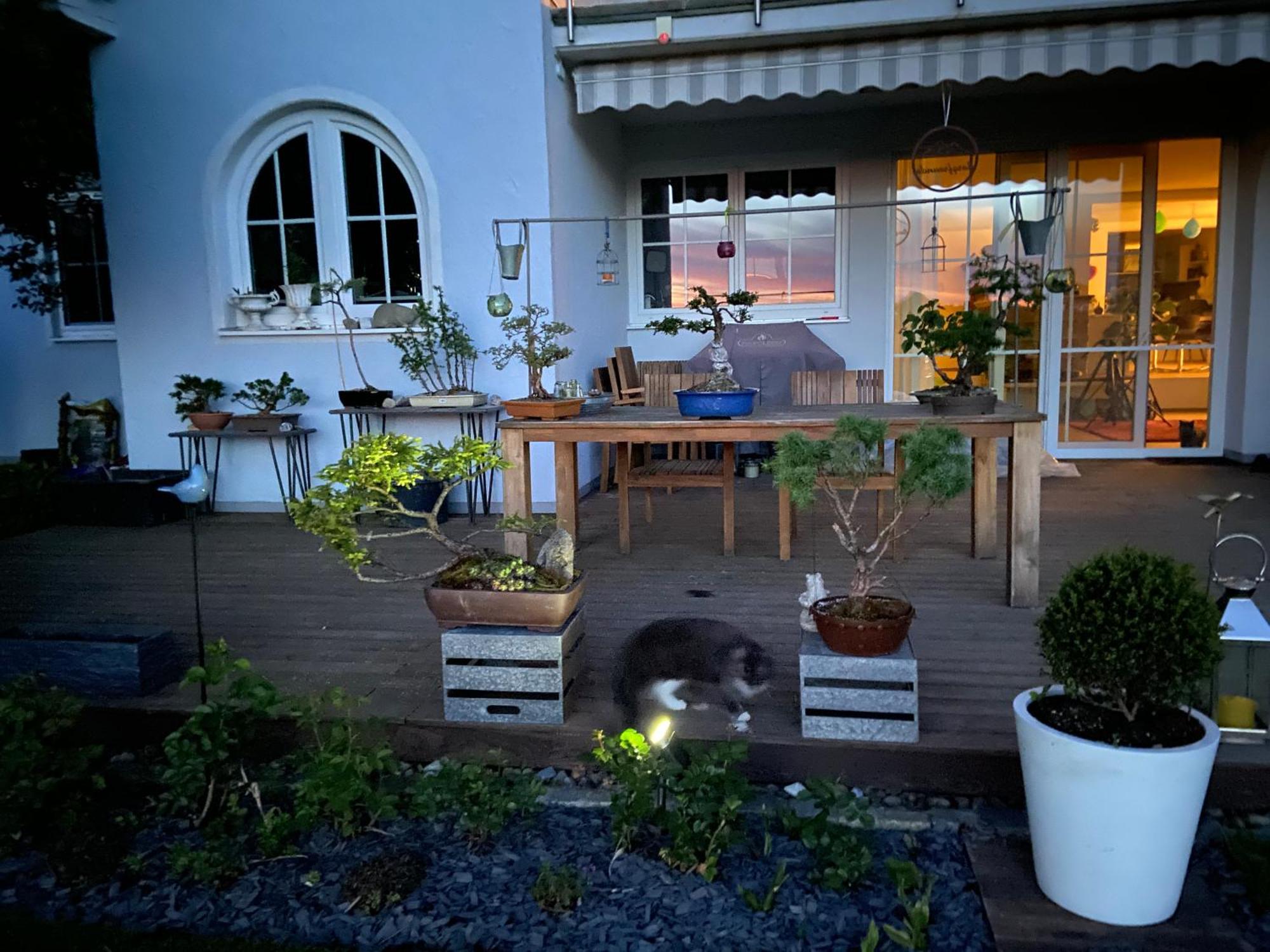 Das Blaue Haus - Ein Sommertraum Und Ein Wintermaerchen Weiler-Simmerberg Exterior foto