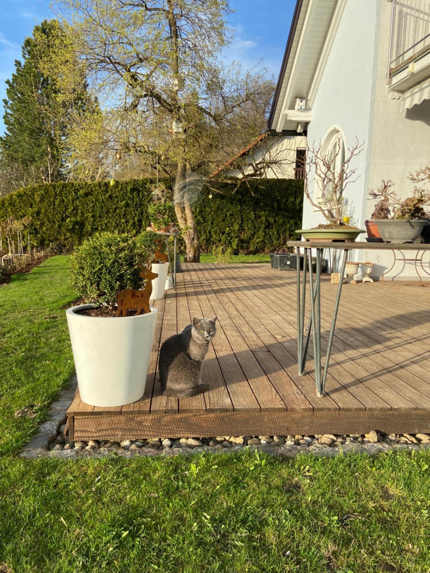 Das Blaue Haus - Ein Sommertraum Und Ein Wintermaerchen Weiler-Simmerberg Exterior foto
